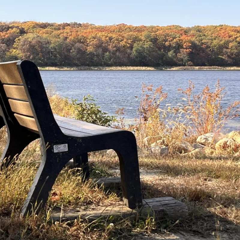 FAll at Ahquabi bench overlooking Ahquabi lake